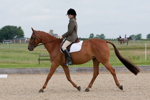 Class 2 (Prelim 15)